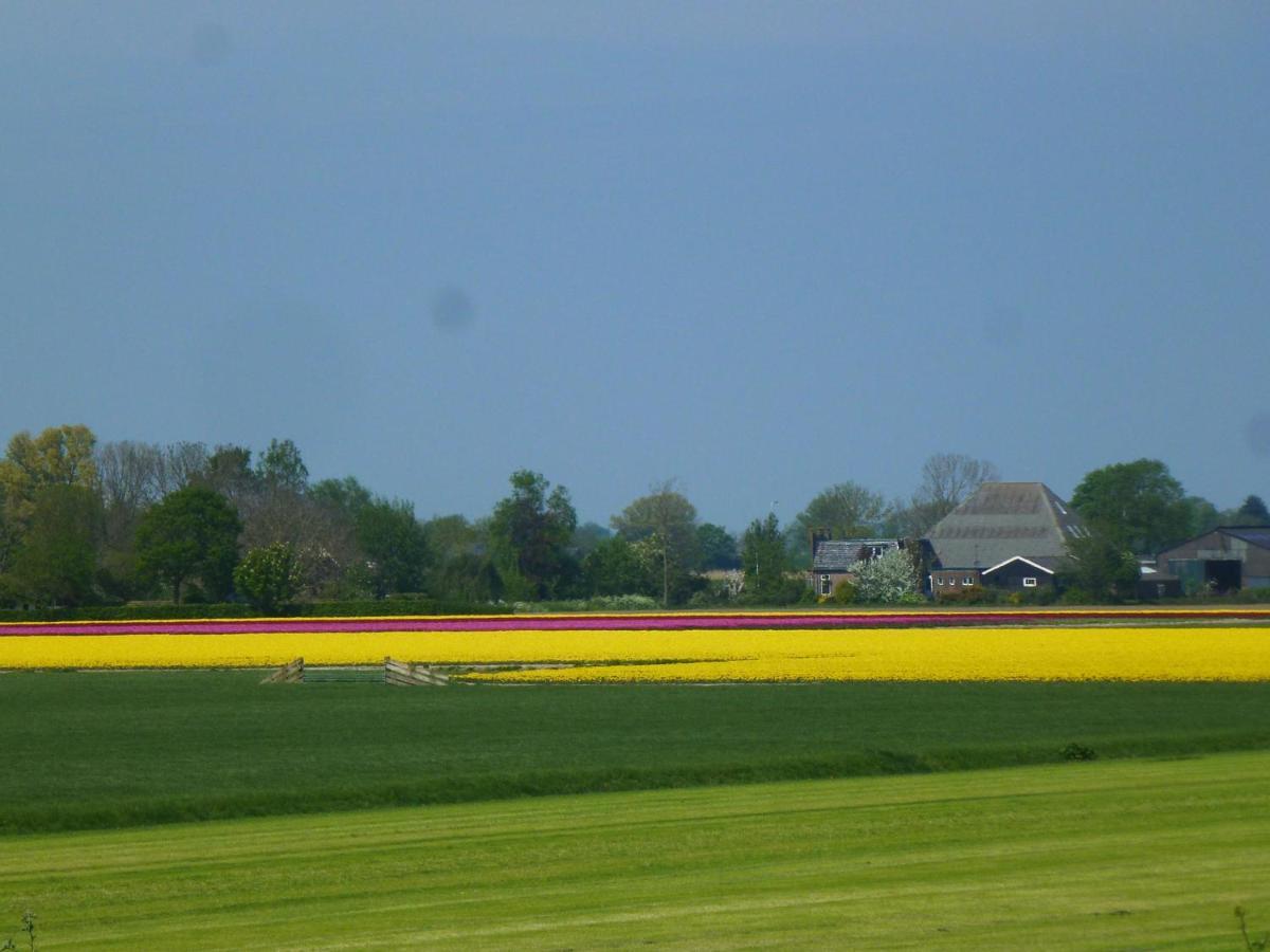 Het Burgemeestershuis Barsingerhorn Esterno foto